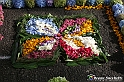 VBS_9568 - Infiorata di Villanova d'Asti 2023